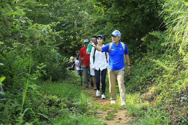 上山型温泉クアオルト