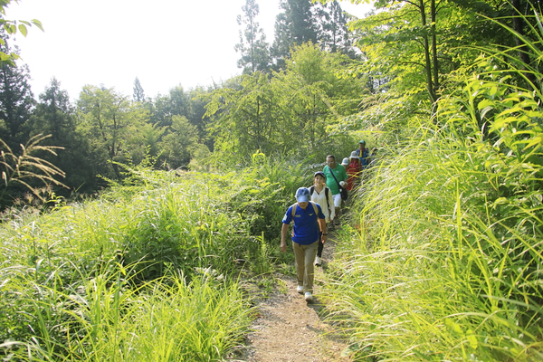 上山型温泉クアオルト