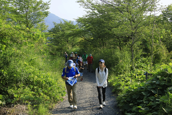 上山型温泉クアオルト