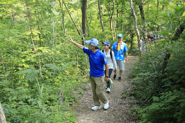 上山型温泉クアオルト