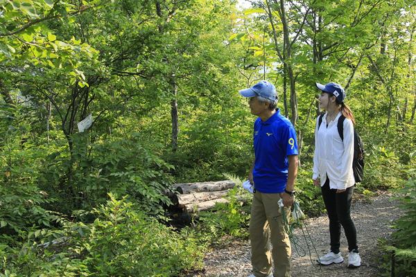 上山型温泉クアオルト