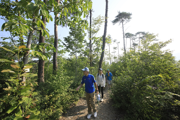 上山型温泉クアオルト