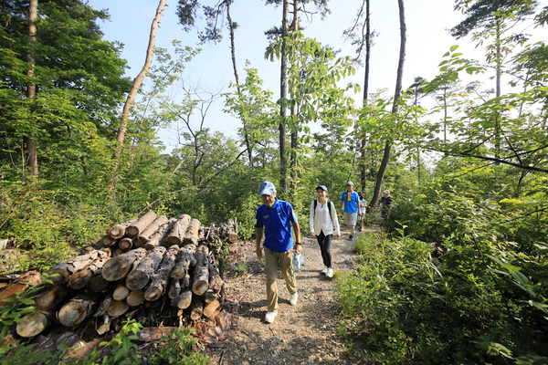上山型温泉クアオルト