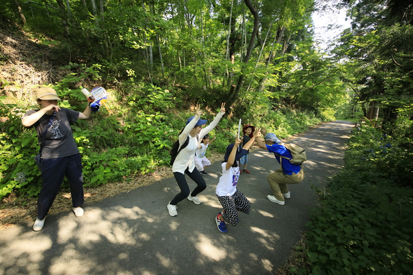 上山型温泉クアオルト