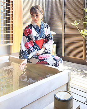 彩花亭 時代屋サンプルページ